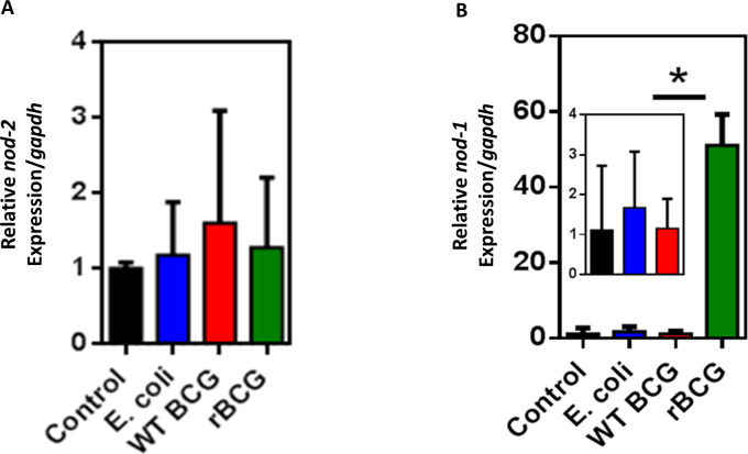 Figure 1—figure supplement 5.