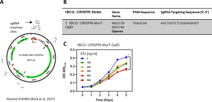 Figure 1—figure supplement 2.