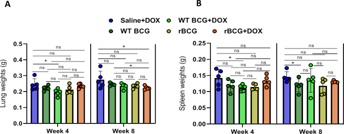 Figure 4—figure supplement 1.