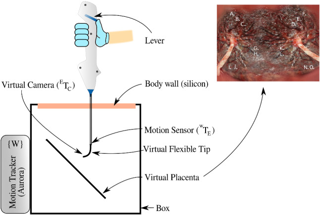 Fig. 10