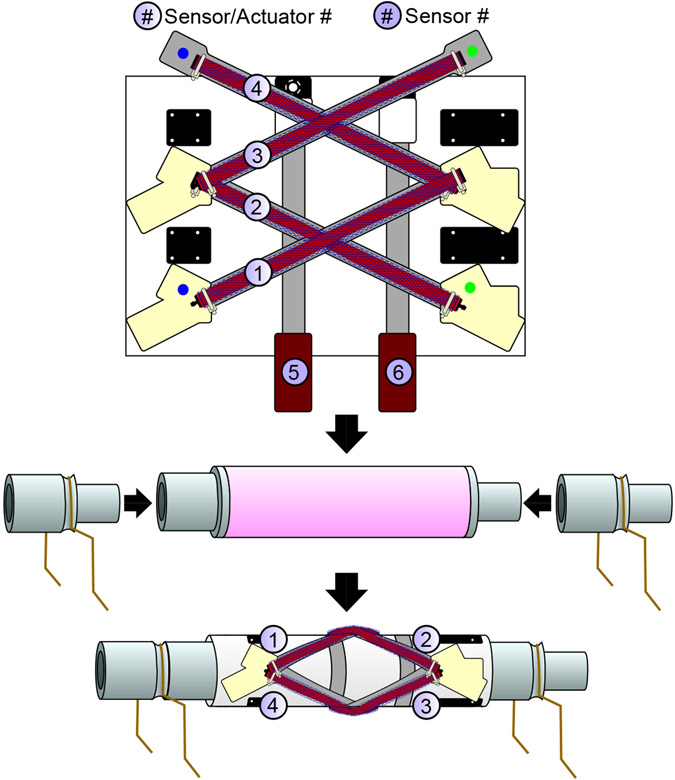 Fig. 2.