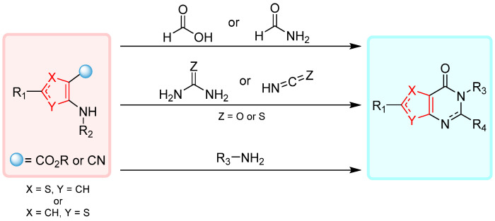 Scheme 1