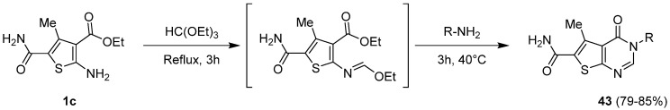 Scheme 18