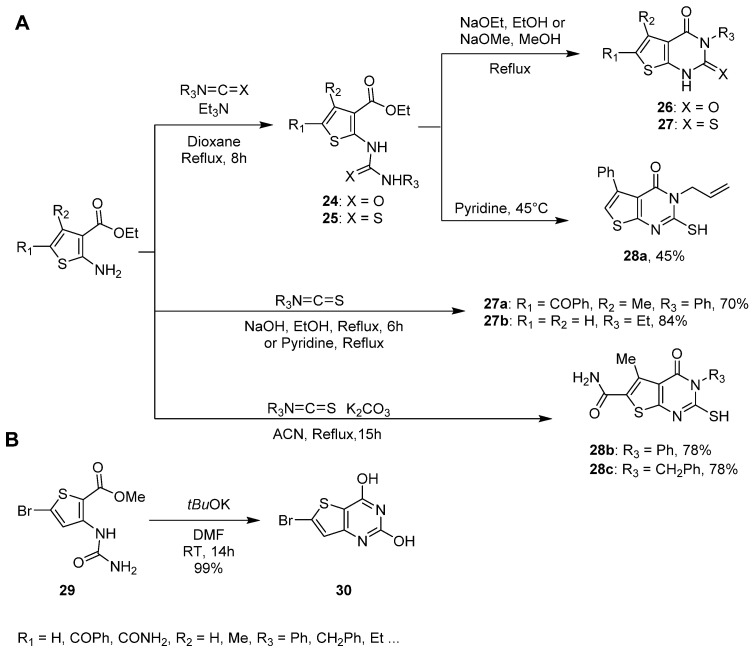 Scheme 14