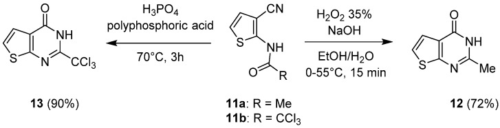 Scheme 7