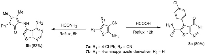 Scheme 5