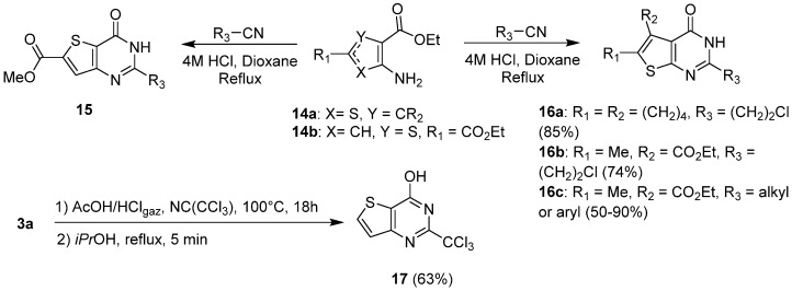 Scheme 8