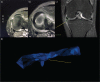 Fig. 9