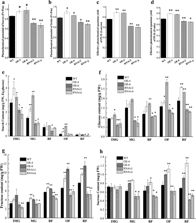 Fig. 4