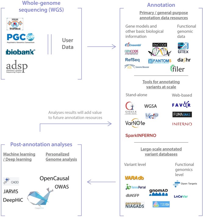 Graphical Abstract