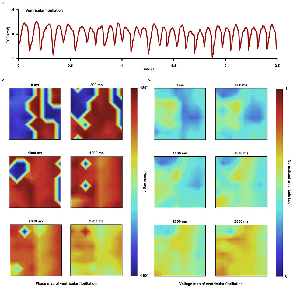 Extended Data Fig. 7 ∣