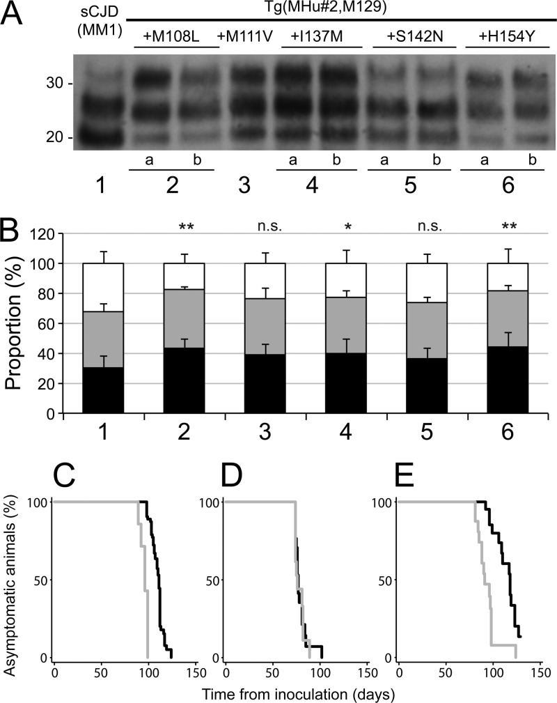 Fig 5