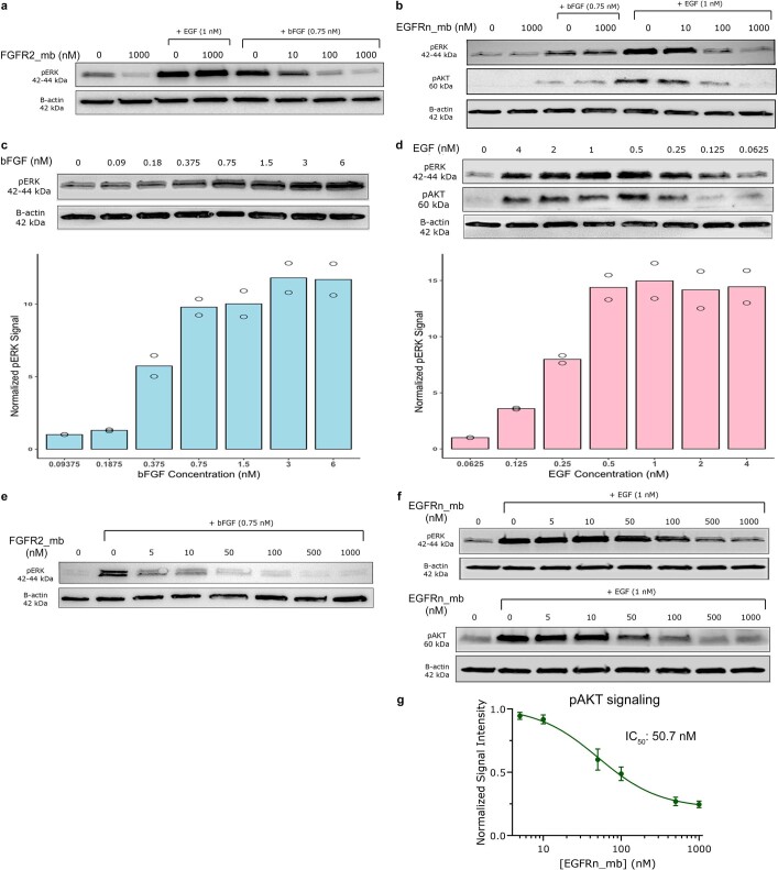 Extended Data Fig. 9