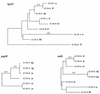 FIG. 4