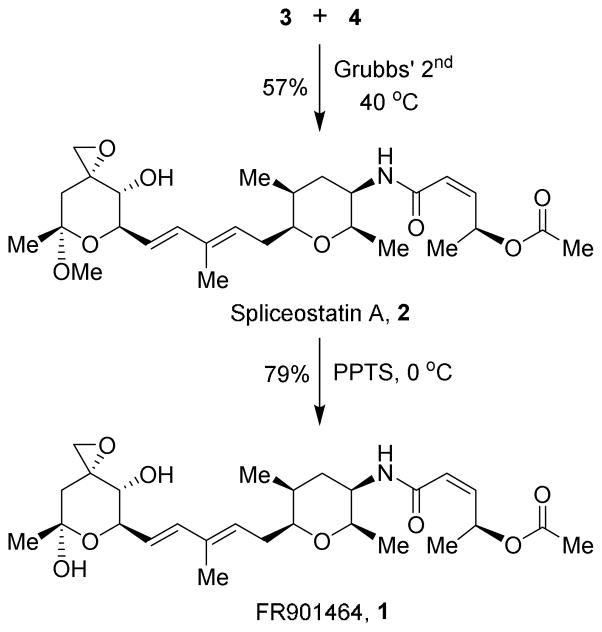 Scheme 5