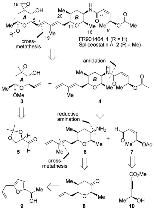 Scheme 1