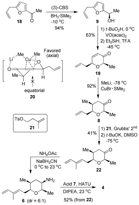 Scheme 4