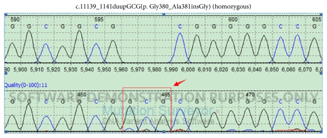 Figure 5