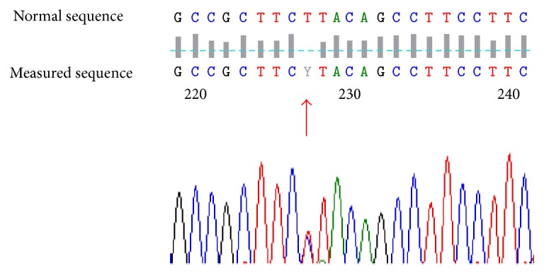 Figure 7