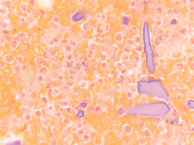 Fig. 9