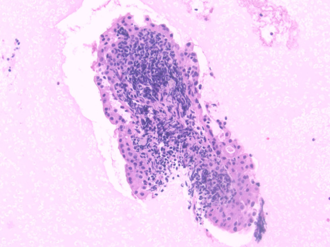 Fig. 8
