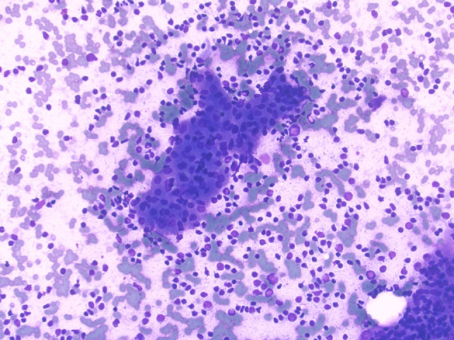 Fig. 7