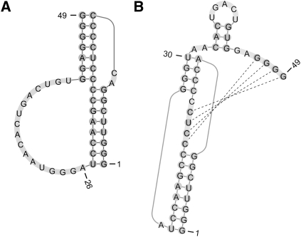 FIGURE 4.