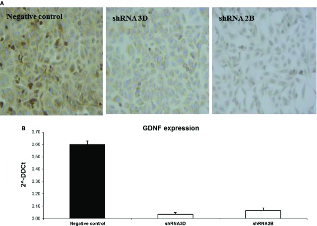 Fig 10