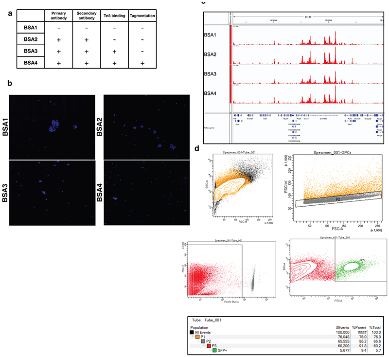 Extended Data Figure 1