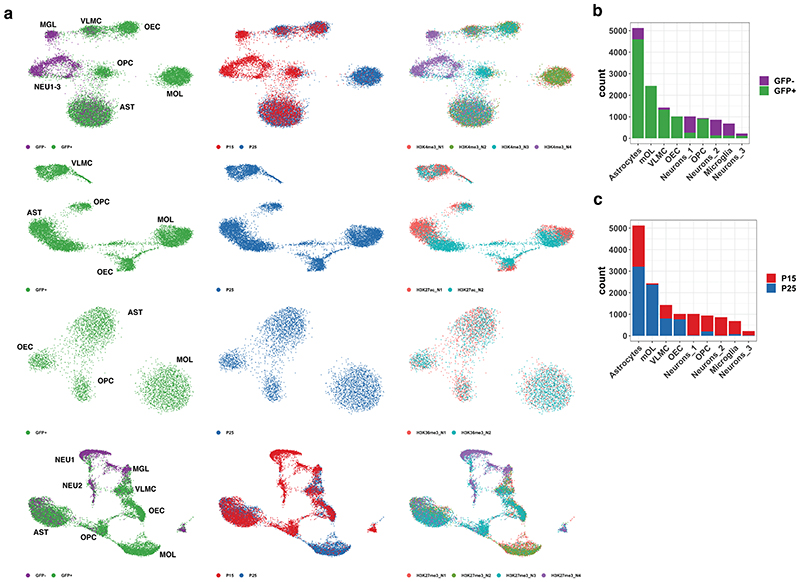 Extended Data Figure 5