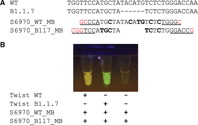 FIGURE 1