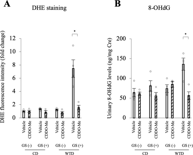 Fig 10