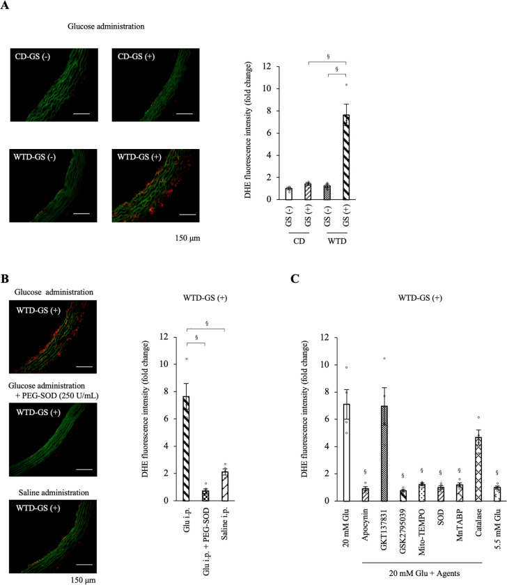 Fig 6