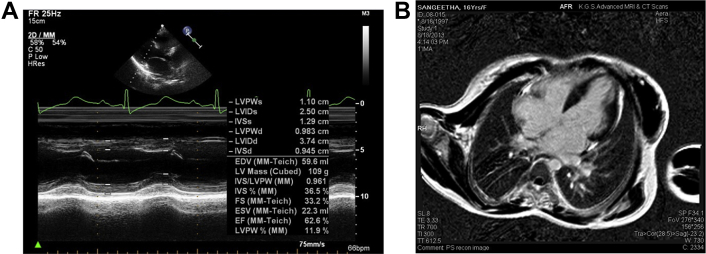 Fig. 7