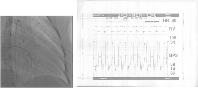 Fig. 9