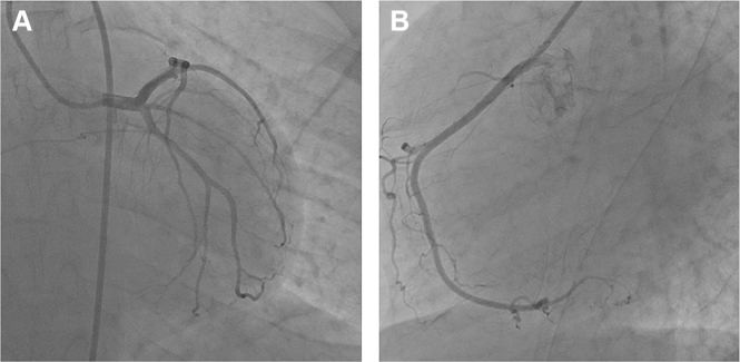 Fig. 8