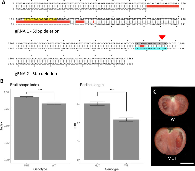 Fig. 4