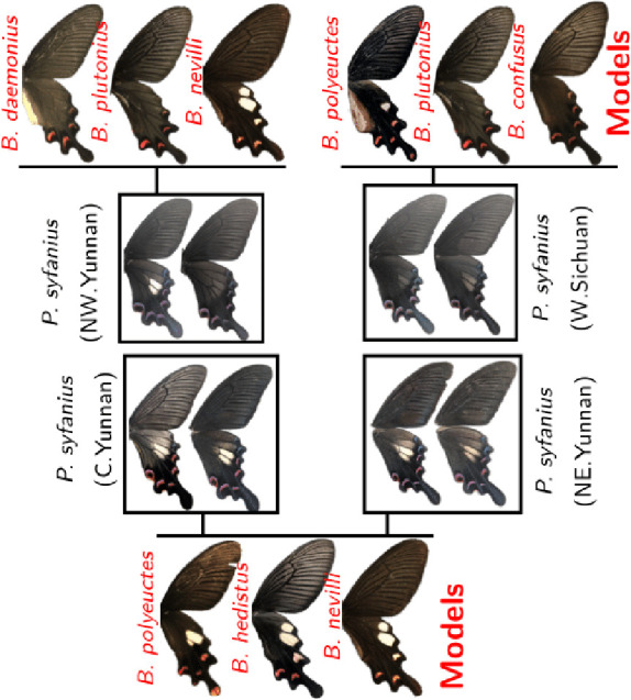 Figure 2—figure supplement 1.