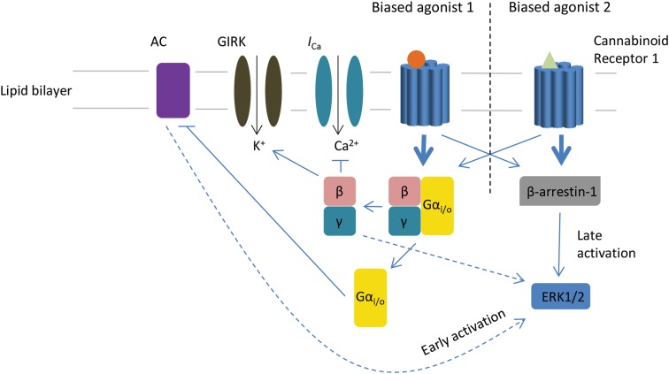 FIG. 1.