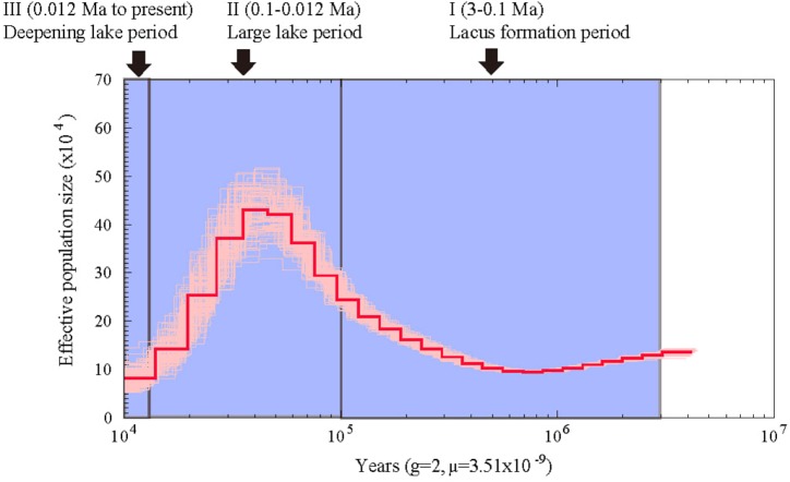 FIGURE 3