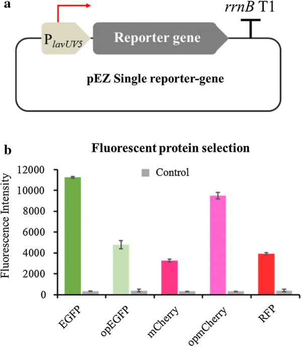 Fig. 1