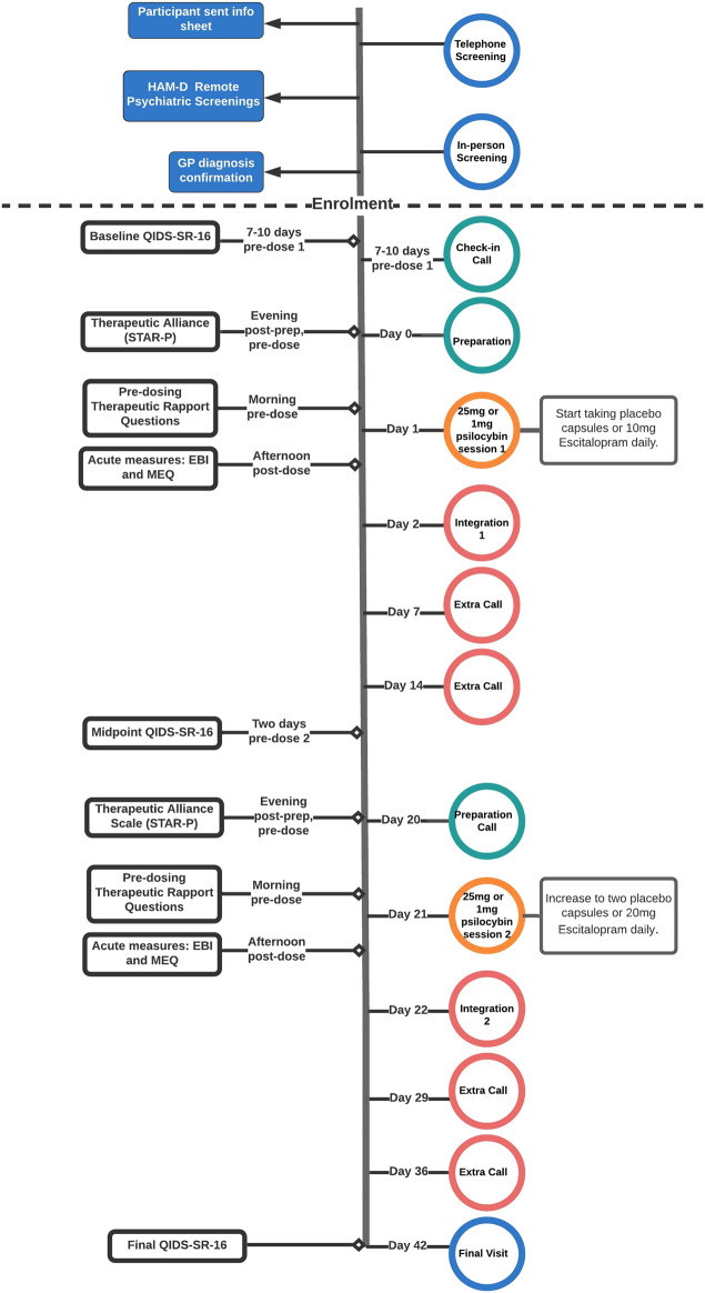 FIGURE 1