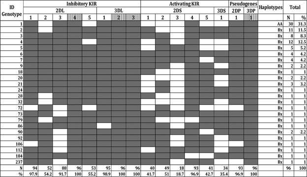 NK cell receptors, immunoglobulin-like receptors (KIR) genotype profiles in the study population. ID: identification number in allefrequencies.net; The filled boxes indicate the presence of the gene; white boxes indicate the absence of the gene; the dot boxes represent the framework genes.