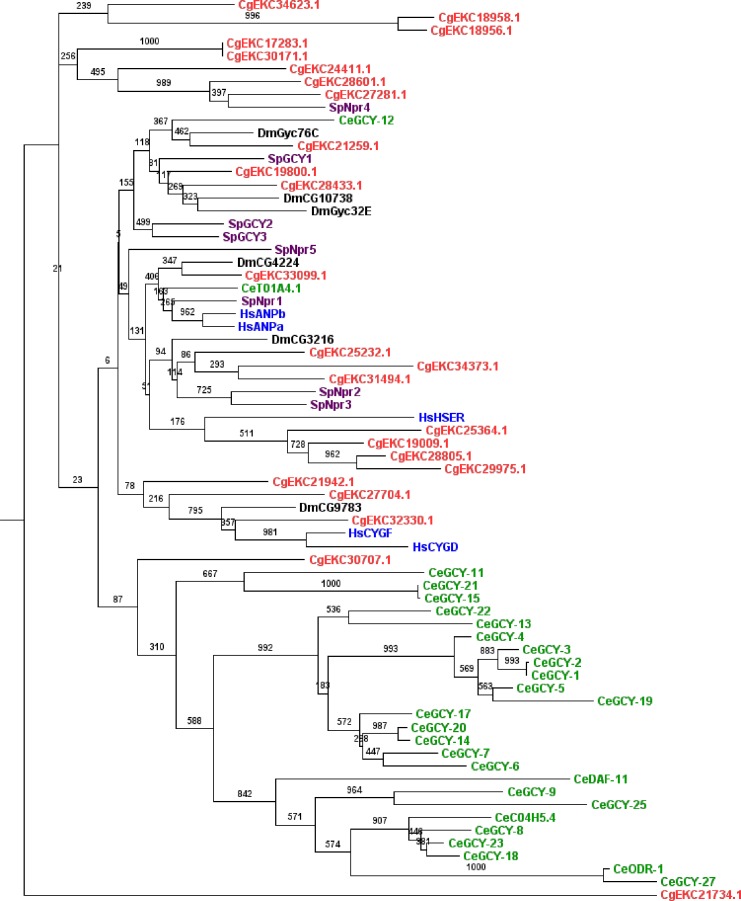 Fig 2