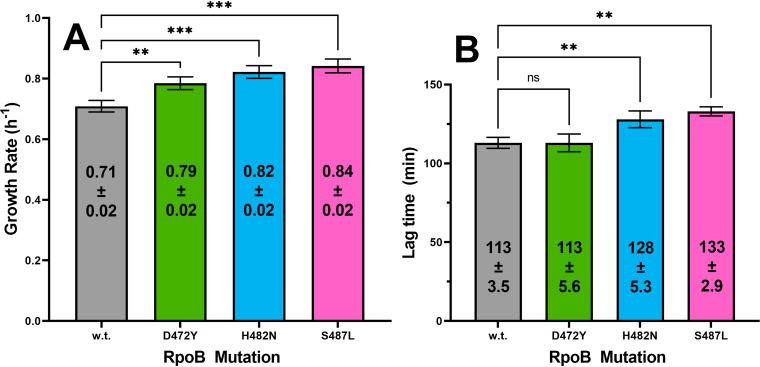 FIG 6