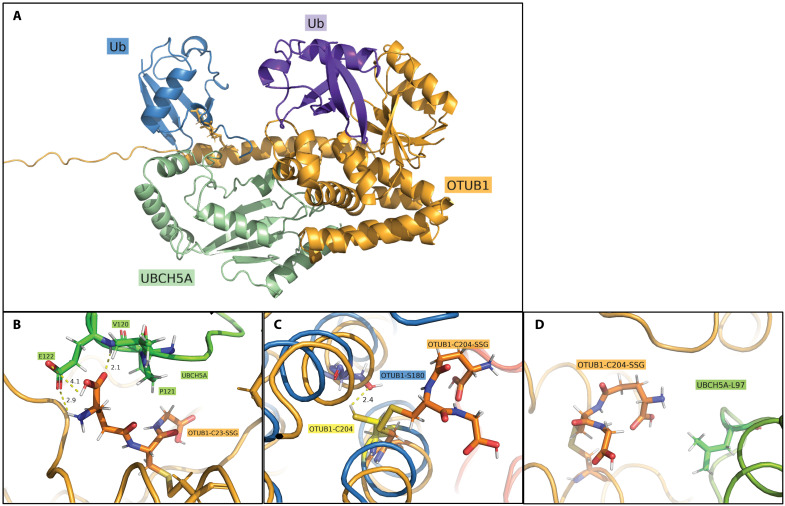 Fig. 8.