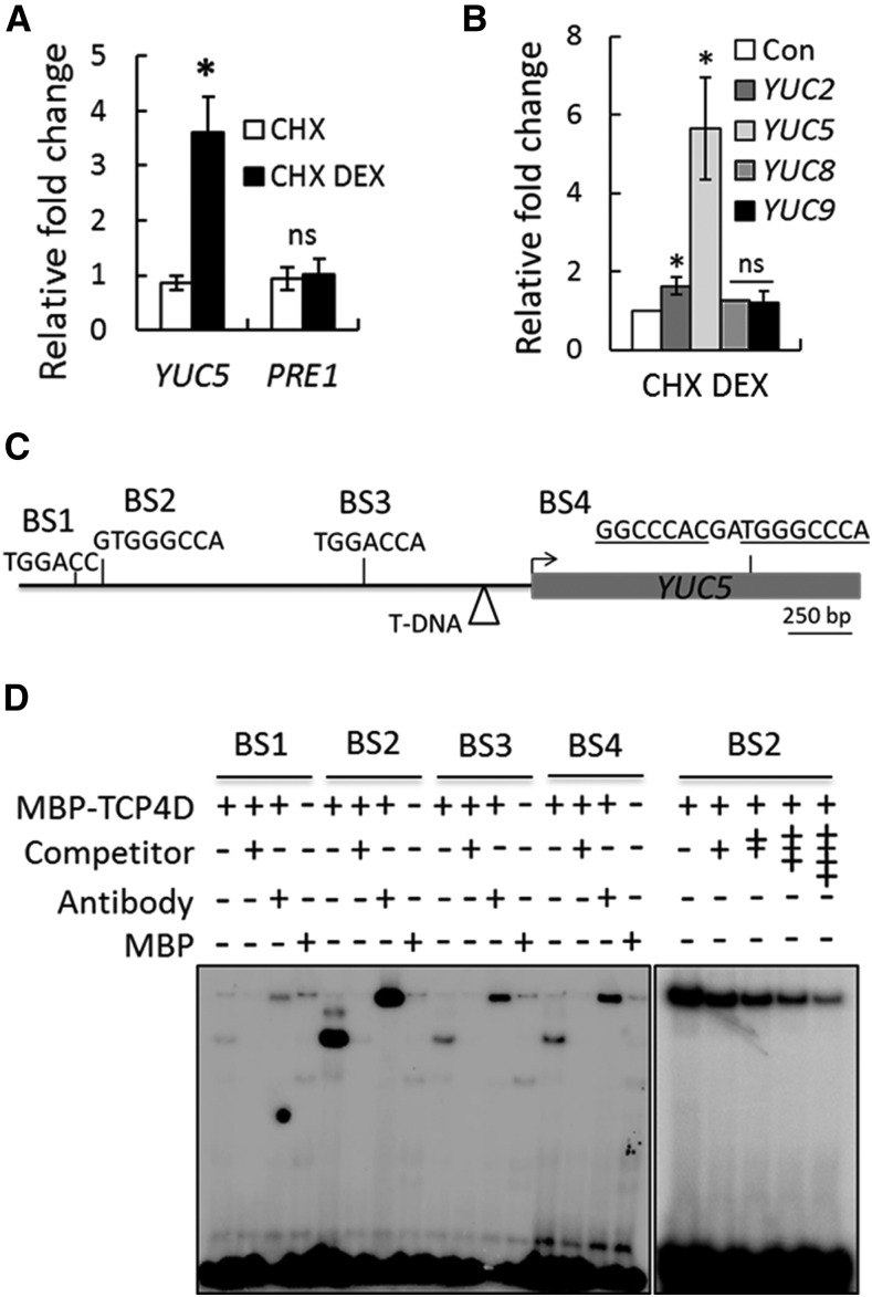 Figure 4.