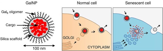 Figure 5.