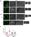 FIG 2