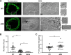 FIG 3